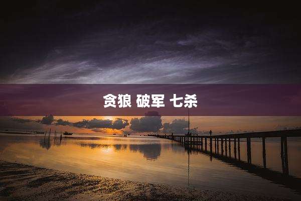 贪狼 破军 七杀