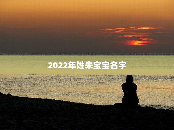 2022年姓朱宝宝名字