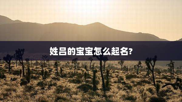 姓吕的宝宝怎么起名?