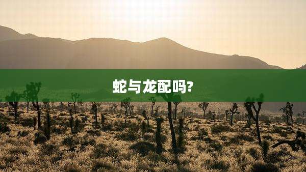 蛇与龙配吗?
