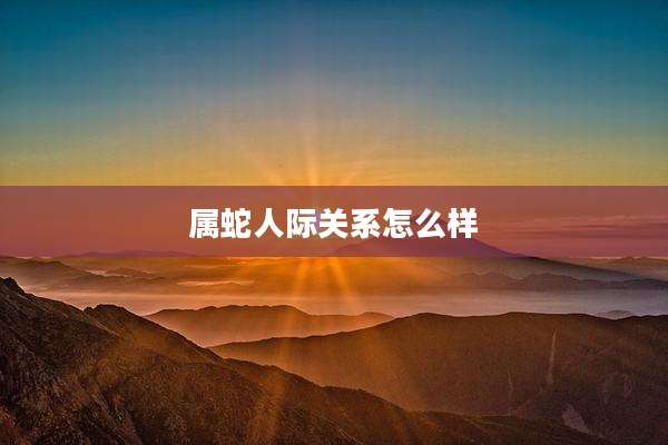 属蛇人际关系怎么样