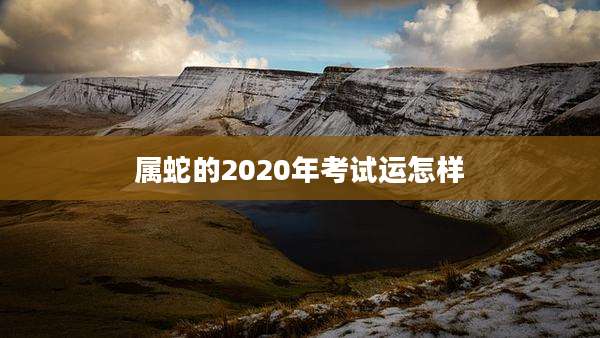 属蛇的2020年考试运怎样