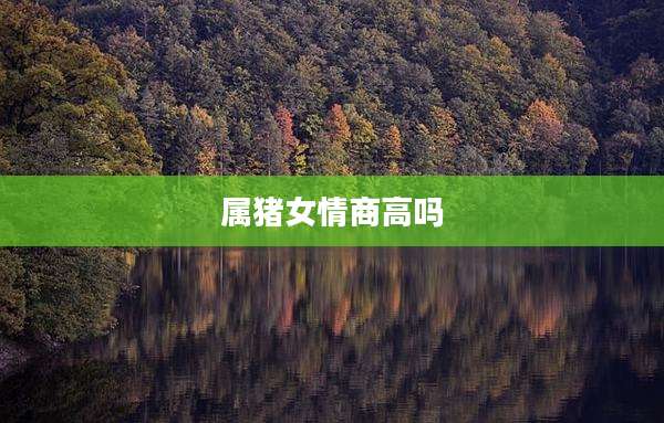 属猪女情商高吗