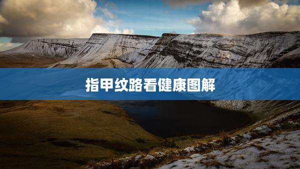指甲纹路看健康图解
