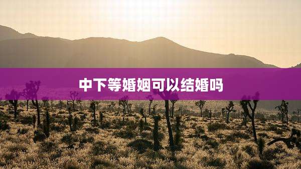 中下等婚姻可以结婚吗
