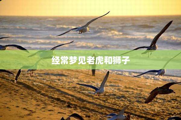 经常梦见老虎和狮子