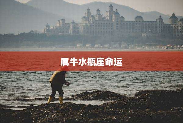 属牛水瓶座命运