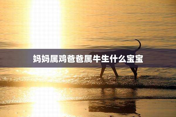妈妈属鸡爸爸属牛生什么宝宝