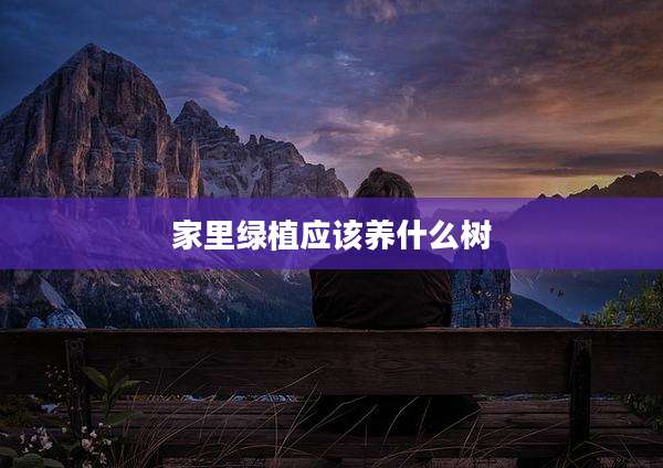 家里绿植应该养什么树