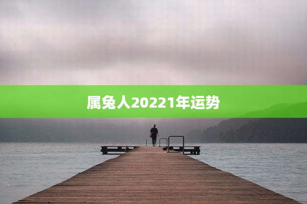 属兔人20221年运势