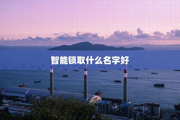 智能锁取什么名字好
