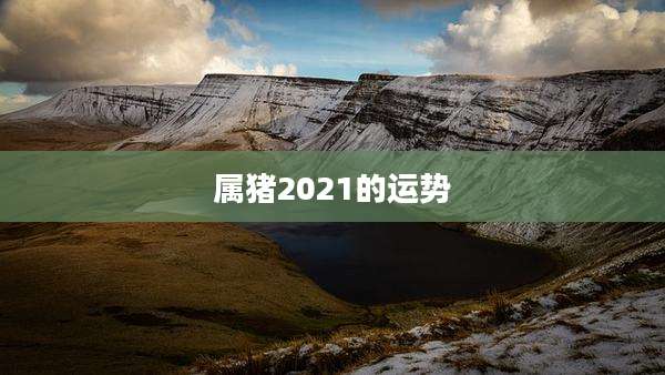 属猪2021的运势