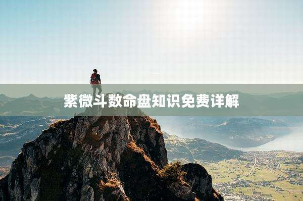 紫微斗数命盘知识免费详解