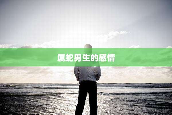 属蛇男生的感情