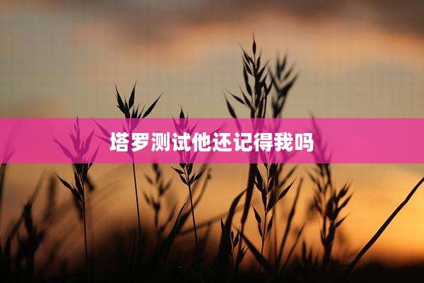 塔罗测试他还记得我吗