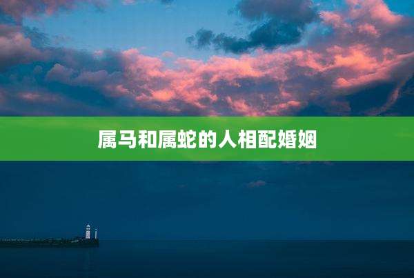 属马和属蛇的人相配婚姻