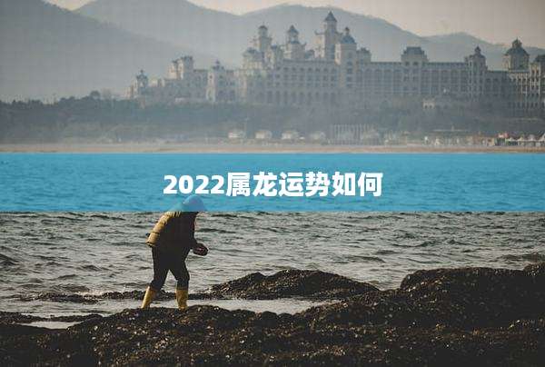 2022属龙运势如何