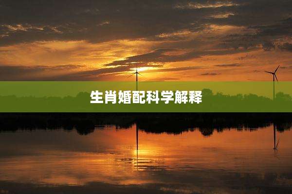 生肖婚配科学解释