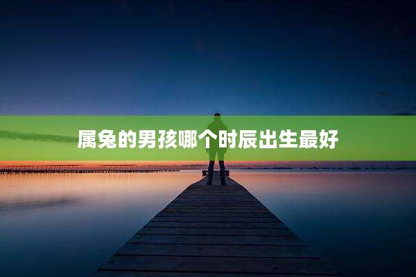 属兔的男孩哪个时辰出生最好