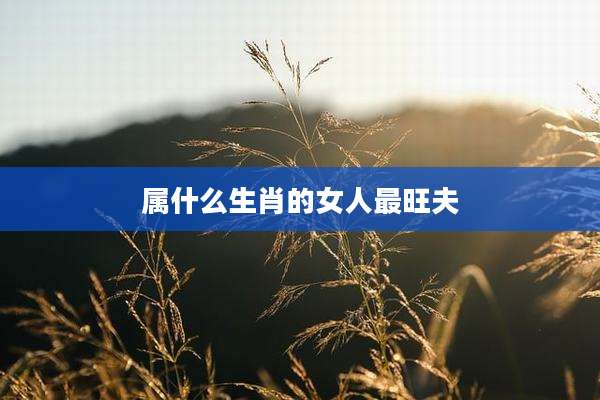 属什么生肖的女人最旺夫