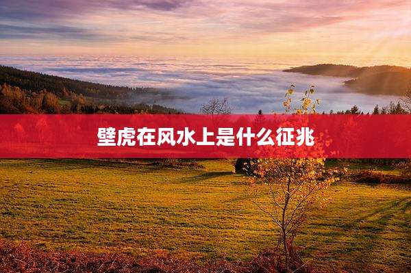 壁虎在风水上是什么征兆