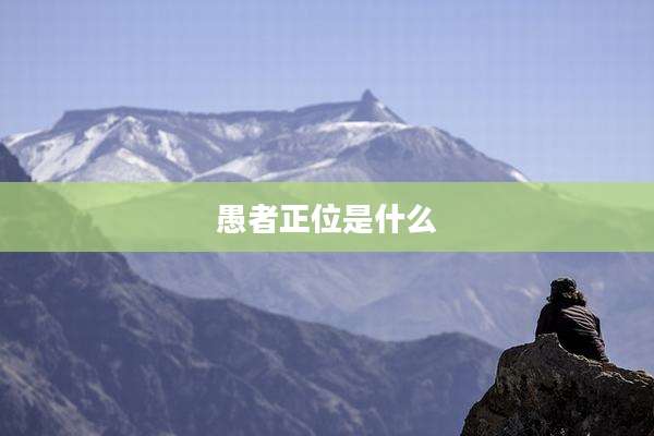 愚者正位是什么