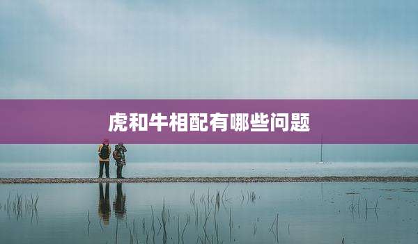 虎和牛相配有哪些问题
