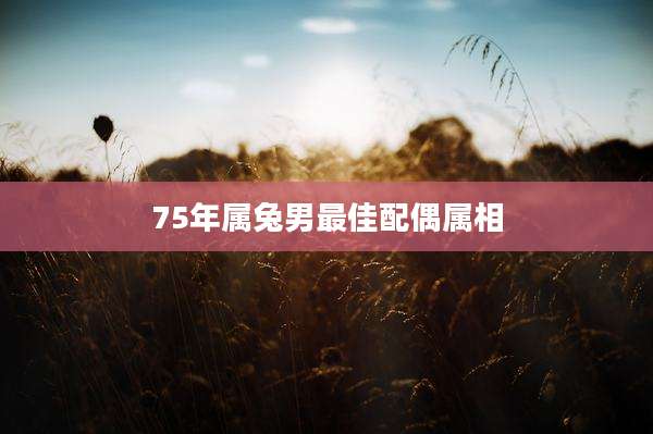 75年属兔男最佳配偶属相
