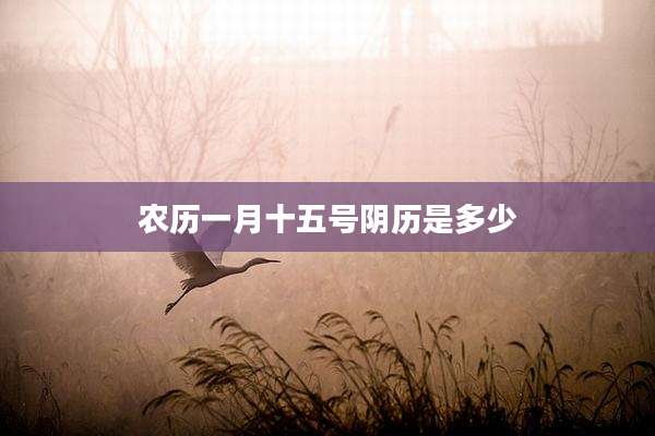 农历一月十五号阴历是多少