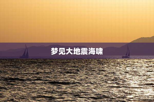 梦见大地震海啸