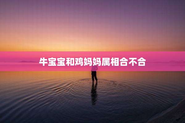 牛宝宝和鸡妈妈属相合不合