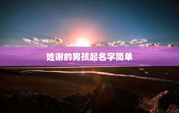 姓谢的男孩起名字简单