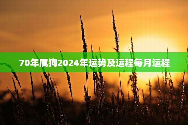 70年属狗2024年运势及运程每月运程