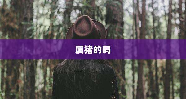 属猪的吗