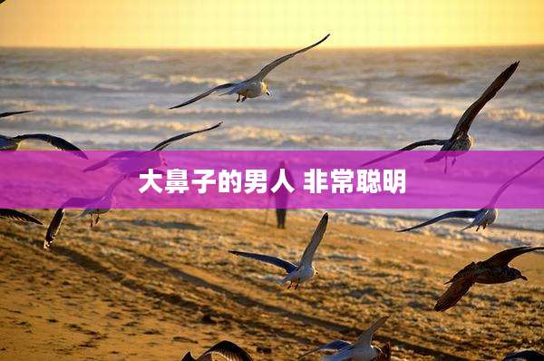 大鼻子的男人 非常聪明