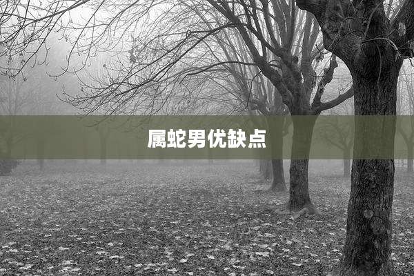 属蛇男优缺点