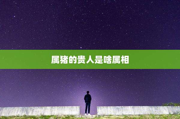 属猪的贵人是啥属相