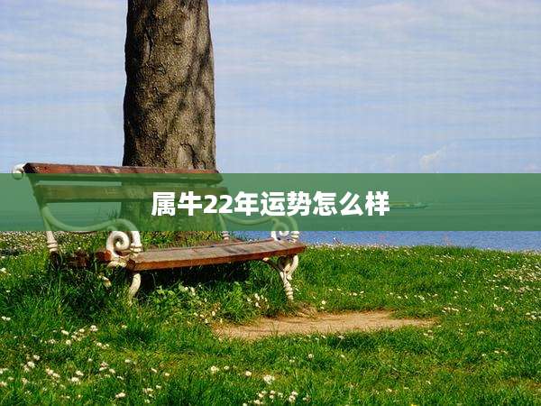 属牛22年运势怎么样