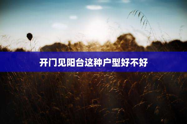 开门见阳台这种户型好不好