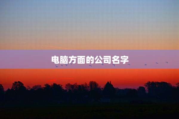 电脑方面的公司名字