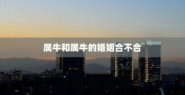 属牛和属牛的婚姻合不合