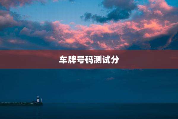 车牌号码测试分