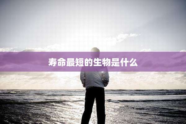 寿命最短的生物是什么