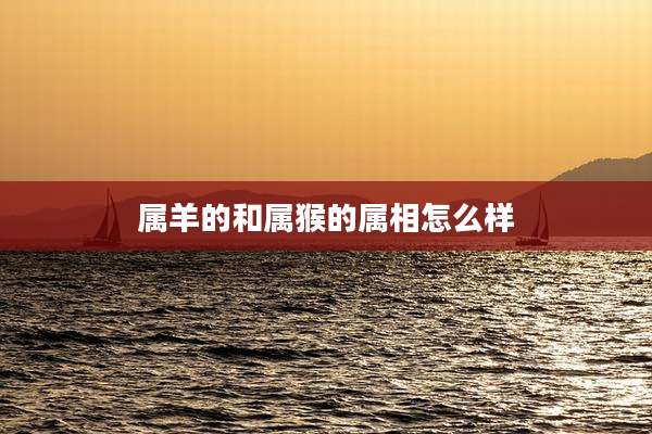 属羊的和属猴的属相怎么样