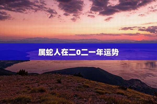 属蛇人在二0二一年运势