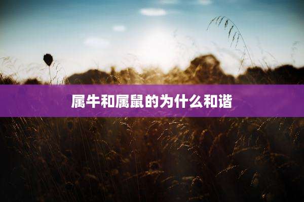 属牛和属鼠的为什么和谐