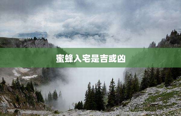 蜜蜂入宅是吉或凶