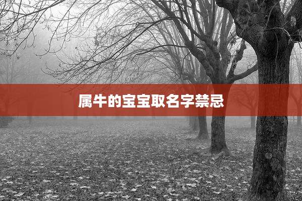 属牛的宝宝取名字禁忌