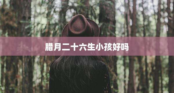 腊月二十六生小孩好吗
