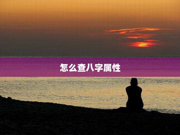 怎么查八字属性